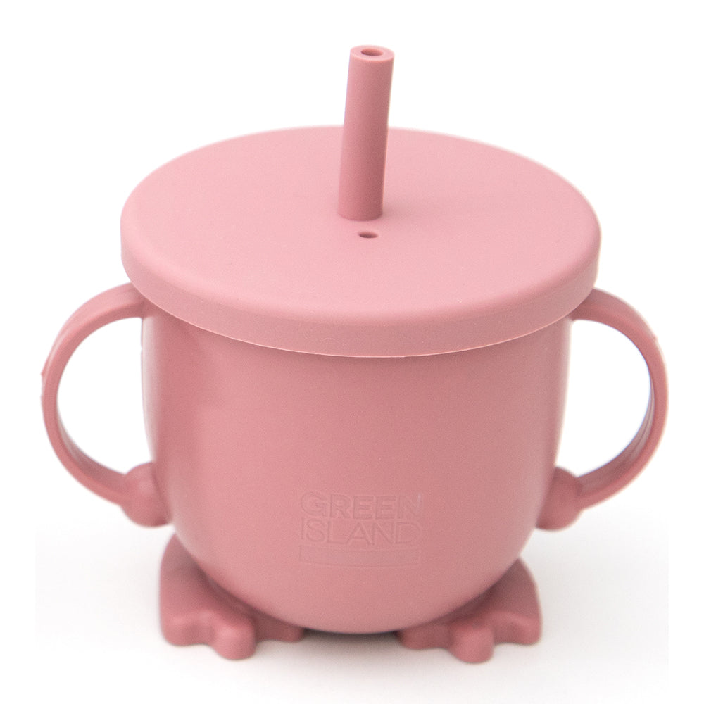 Baby sippy cups mulberry